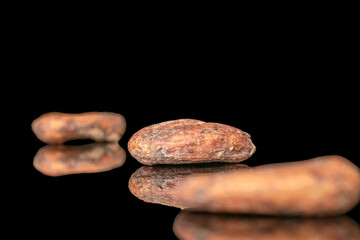 Several dry cocoa beans, macro, isolated on black background.