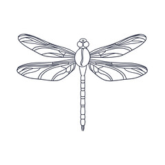 illustration of dragonfly and coffee beans in vintage style