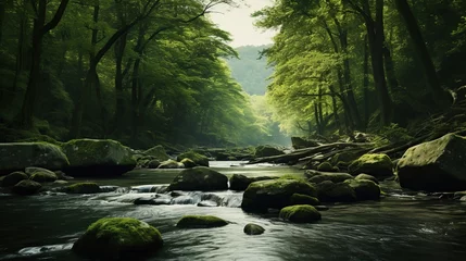 Gordijnen river with mossy rocks in the middle of a tropical forest © nomesart