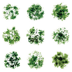 vector top view of trees and bushes vector illustrations set landscape elements for garden park