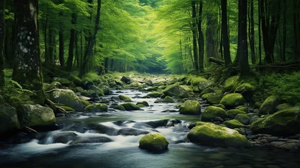 Stoff pro Meter river with mossy rocks in the middle of a tropical forest © nomesart