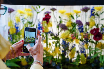 a mobile phone taking a photo of some flowers in spring