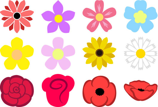 set of colourful flowers