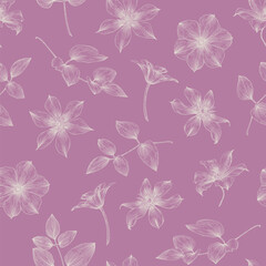 Fototapeta premium Elegante flowers of clematis white on pink background. Hand drawn elements. Vintage floral vector seamless pattern for design packaging textile wallpaper fabric