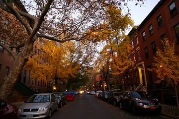 Brooklyn Brownstones Autumn