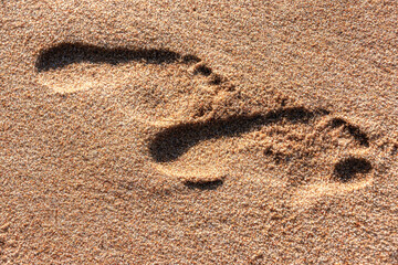 Fototapeta na wymiar footsteps in the sand on the beach, on Ballito Bay, Durban