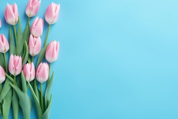 Spring tulip flowers on aqua background top view in flat lay style 
