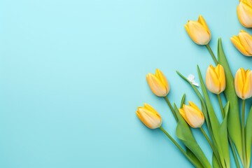 Spring tulip flowers on blue background top view in flat lay style 