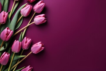 Spring tulip flowers on burgundy background top view in flat lay style