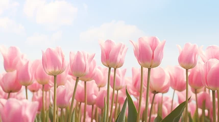Zelfklevend Fotobehang pink tulips in the garden © Surasri