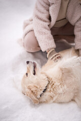 The image is of a dog lying on its back, possibly indoors, on snowy ground 5483.