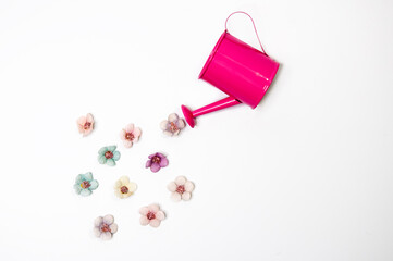 Watering can and flowers on white background. Flat lay, top view.