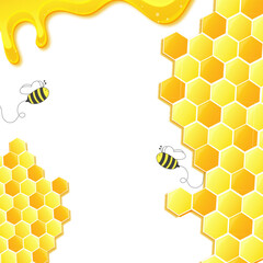 honeycomb and bee vector with liquid flowing honey background