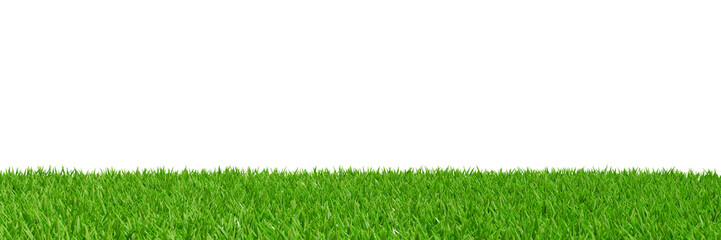 Fototapeta na wymiar Green fresh grass in the meadow. Banner border 3d rendering