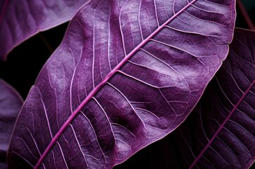 Intricate Macro purple leaf water drops. Spring plant. Generate Ai