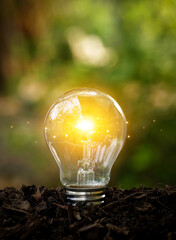 A glass incandescent lamp glows on soil ground with a blurry green background of nature. concept of...