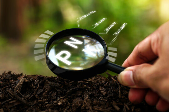 Hand holding a magnifying glass on soil ground with a blurry green background of nature, concept of Future agriculture concept, Mineral fertilizer suitability growing plants, nutrients,smart farming.