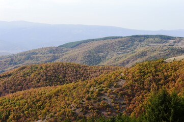 mountain landscape in autumn