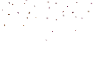 flying red paint splashes png overly on white background