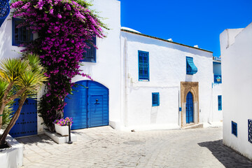 Sidi Bou Said. La Gulett, Tunisia