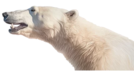 Kussenhoes Side view of the head and neck of a polar bear, isolated, white background © Creative Canvas