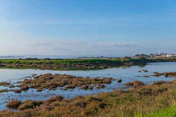 Tagus morning in Moita