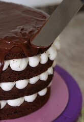 chocolate cake on a plate