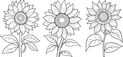 Hand-drawn set of sunflowers, flat minimalist black and white coloring page illustration of flower, adults and children vector sketch - obrazy, fototapety, plakaty