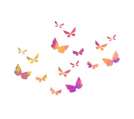 butterfly  colorful cute dooldle on white background