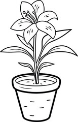 Hand-drawn lily bouquets lily flower outline, flat minimalist black and white lily flower illustration