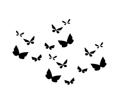 Fototapeta butterfly on white background silhouette cute illustration doodle