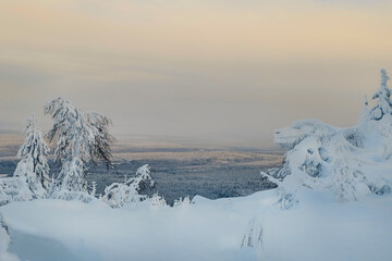 Minimalistic pink dawn magical bizarre silhouette of trees and stones are plastered with snow.