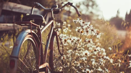 Fototapeten An idyllic scene captures the essence of spring with a vintage bicycle adorned with fresh flowers. © olegganko