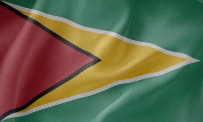    Guyana waving flag close up fabric texture background