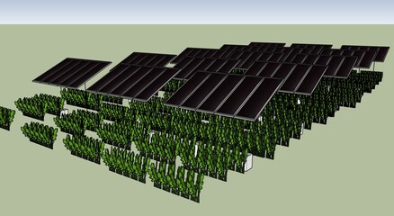 Solar powered agriculture, Agrovoltaic and pvagri is the crop grown below solar photovoltaic system 