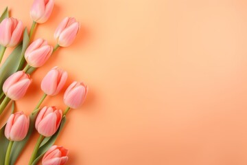 Spring tulip flowers on peach background top view in flat lay style