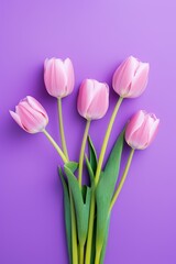Spring tulip flowers on purple background top view in flat lay style 