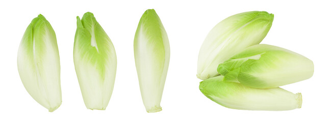 Chicory salad isolated on white background with full depth of field. Top view. Flat lay - obrazy, fototapety, plakaty