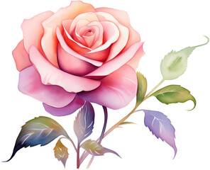 romantic watercolor flower png transparent background