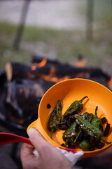 Campfire cooking of food in the nature while camping in summer