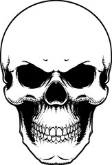 skull in black and white