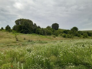 Obraz premium a valley in a meadow
