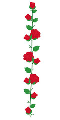 frame of red rose brunch illustrator