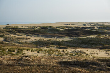 Fototapeta na wymiar Expansive view of Curonian Spit's undulating sand dunes, a dynamic landscape where desert meets sea, under a hazy sky