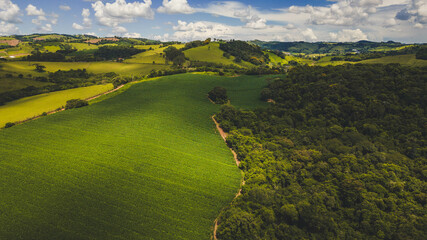 panoramic view of a green field plantation in Serra da Mantiqueira - Bueno Brandao, Brazil