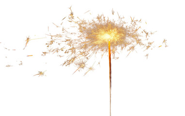 Vibrant Sparkler Isolated Isolated on Transparent Background PNG.