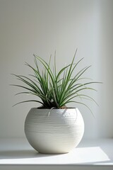 A white vase with a plant inside. Perfect for adding a touch of nature to any space