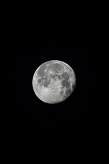 Mond