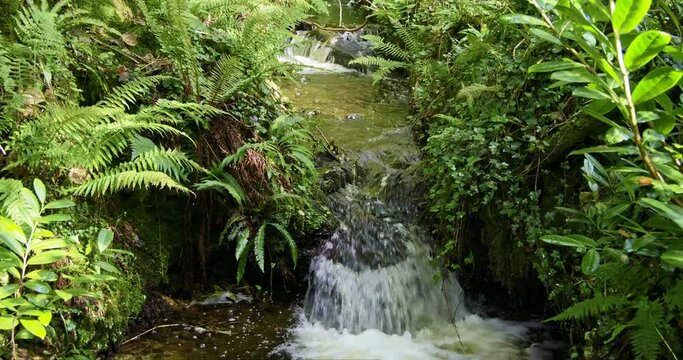 A daytime capture of a waterfall in a serene forest setting.