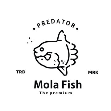 vintage retro hipster mola fish logo vector outline monoline art icon